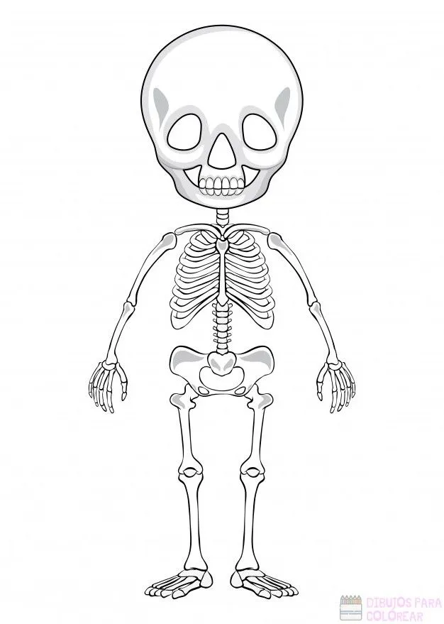 ᐈ Dibujos de Esqueletos【+1000】Para decorar Hoy – Dibujos para Colorear ᐈ Dibujos de Esqueletos【+1000】Para decorar Hoy – Dibujos para Colorear