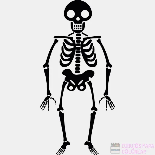 ᐈ Dibujos de Esqueletos【+1000】Para decorar Hoy – Dibujos para Colorear ᐈ Dibujos de Esqueletos【+1000】Para decorar Hoy – Dibujos para Colorear