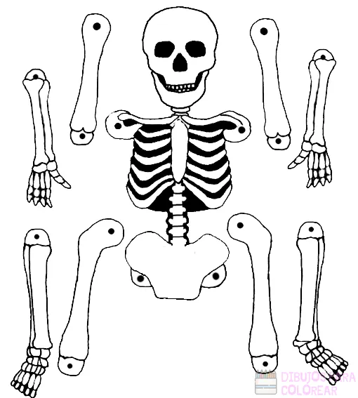 ᐈ Dibujos de Esqueletos【+1000】Para decorar Hoy – Dibujos para Colorear ᐈ Dibujos de Esqueletos【+1000】Para decorar Hoy – Dibujos para Colorear