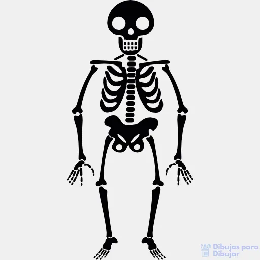 ᐈ Dibujos de Esqueletos【+900】Lo mejor para Halloween – Dibujos Para Dibujar ᐈ Dibujos de Esqueletos【+900】Lo mejor para Halloween – Dibujos Para Dibujar