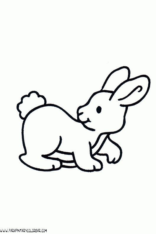 Dibujos fáciles de conejos - Imagui