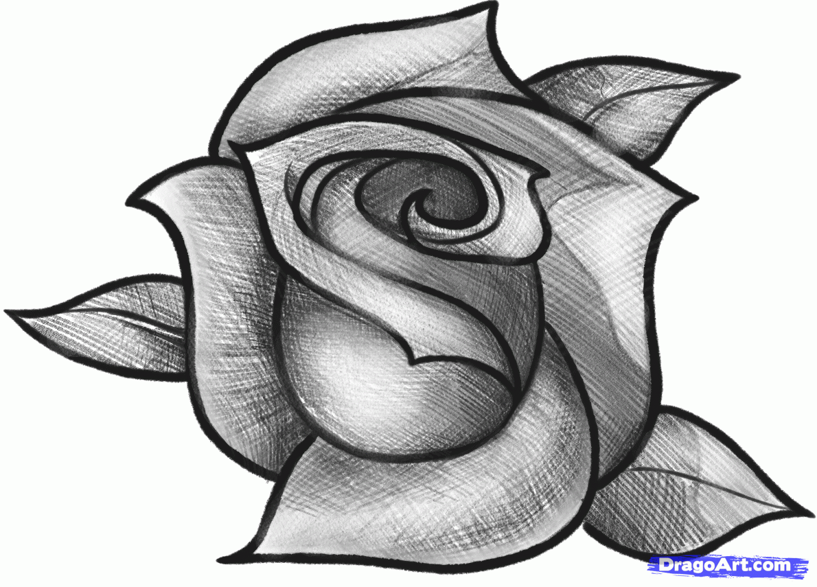 Dibujos faciles paso a paso: Dibuja una rosa Dibujos faciles paso a paso: Dibuja una rosa