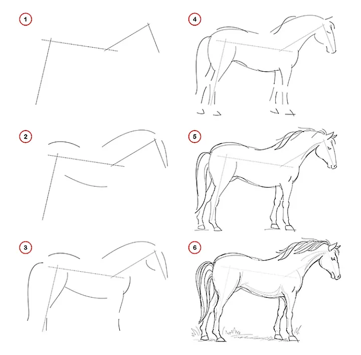 Dibujos fáciles para principiantes | Adobe