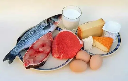 Dibujos y Figuras de Alimentos de Origen Animal - Para niños Dibujos y Figuras de Alimentos de Origen Animal - Para niños