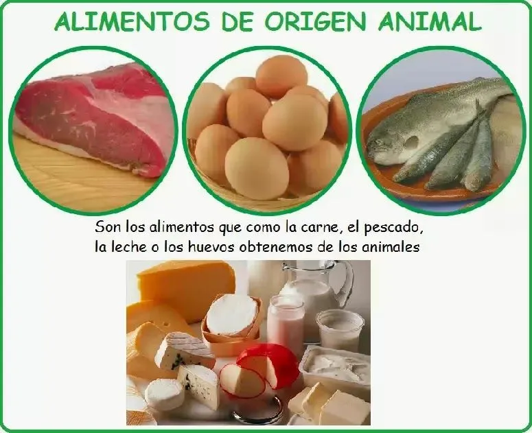 Dibujos y Figuras de Alimentos de Origen Animal | Para niños Dibujos y Figuras de Alimentos de Origen Animal | Para niños