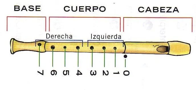 Dibujos de flauta dulce con sus partes - Imagui Dibujos de flauta dulce con sus partes - Imagui