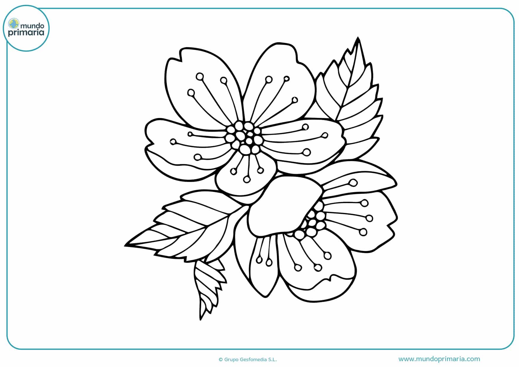 Dibujos de Flores para Colorear 【Bonitas y Fáciles de Pintar】 Dibujos de Flores para Colorear 【Bonitas y Fáciles de Pintar】