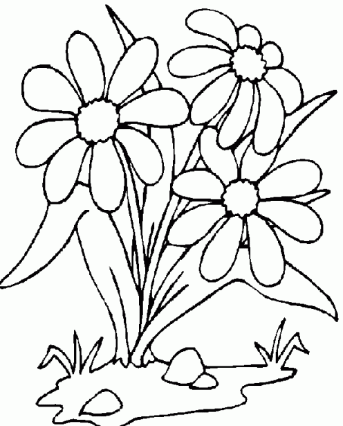 Dibujos de flores para colorear ~ Dibujos para Niños Dibujos de flores para colorear ~ Dibujos para Niños