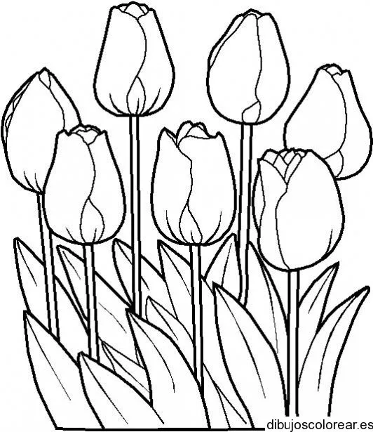 Dibujos de Flores | Dibujos para Colorear