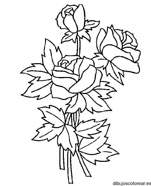 Dibujos de Flores | Dibujos para Colorear