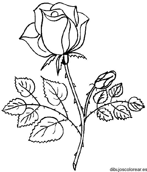 Dibujos de Flores | Dibujos para Colorear