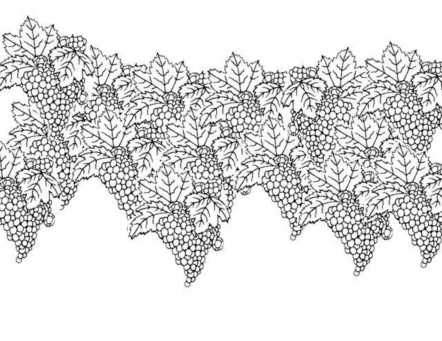Dibujos de flores y enredaderas para colorear - Imagui Dibujos de flores y enredaderas para colorear - Imagui