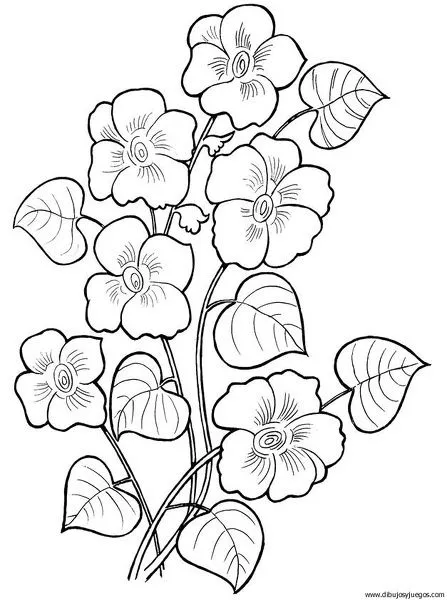 dibujo-flores-varios-068 | Dibujos y juegos, para pintar y colorear