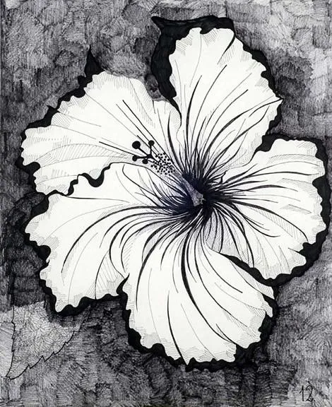 dibujos de flores | Flickr - Photo Sharing! dibujos de flores | Flickr - Photo Sharing!