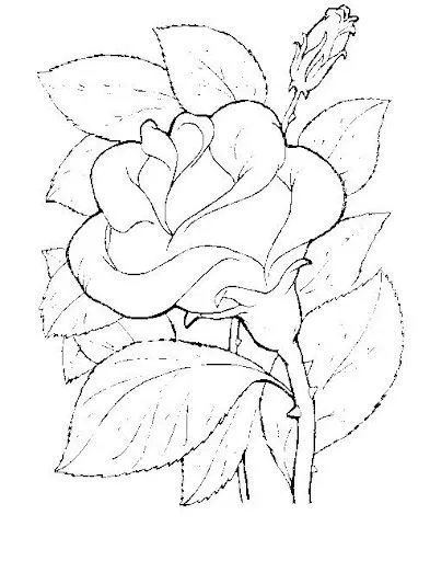 DIBUJOS DE FLORES: FLORES PARA COLOREAR