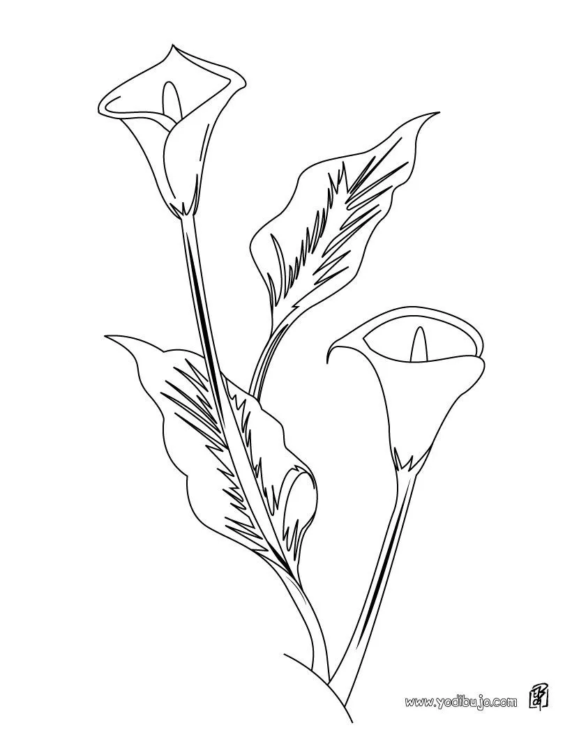 Dibujos de FLORES para pintar, una rosa para imprimir Dibujos de FLORES para pintar, una rosa para imprimir