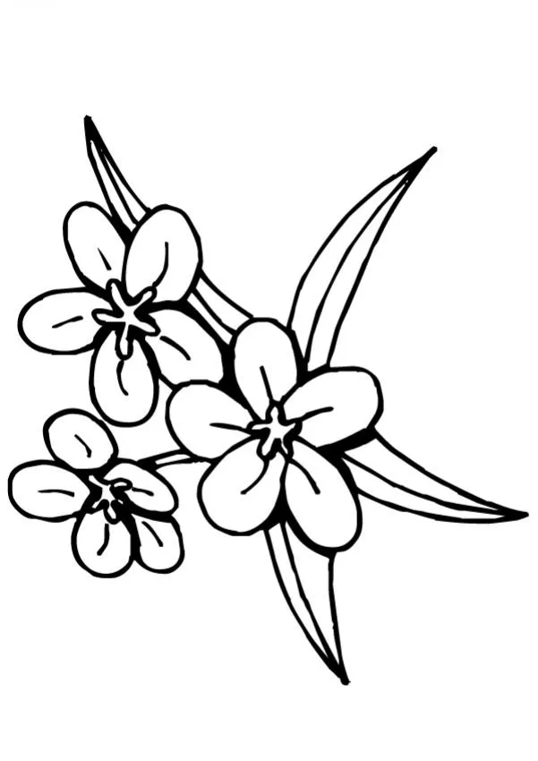 Dibujos de FLORES para pintar, Flor N°8 para imprimir Dibujos de FLORES para pintar, Flor N°8 para imprimir