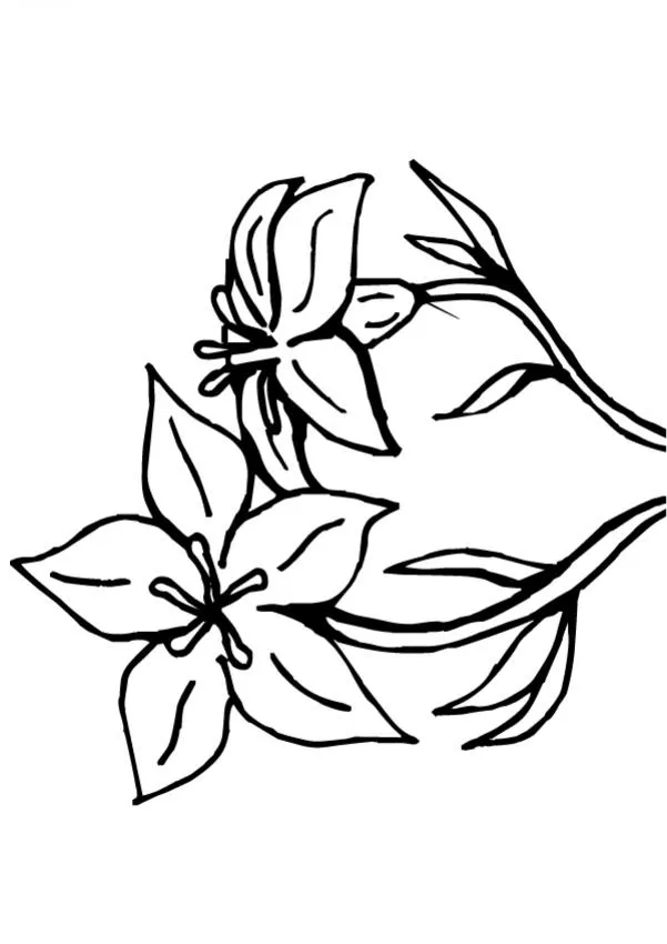 Dibujos de FLORES para pintar, Flor N°9 para imprimir Dibujos de FLORES para pintar, Flor N°9 para imprimir