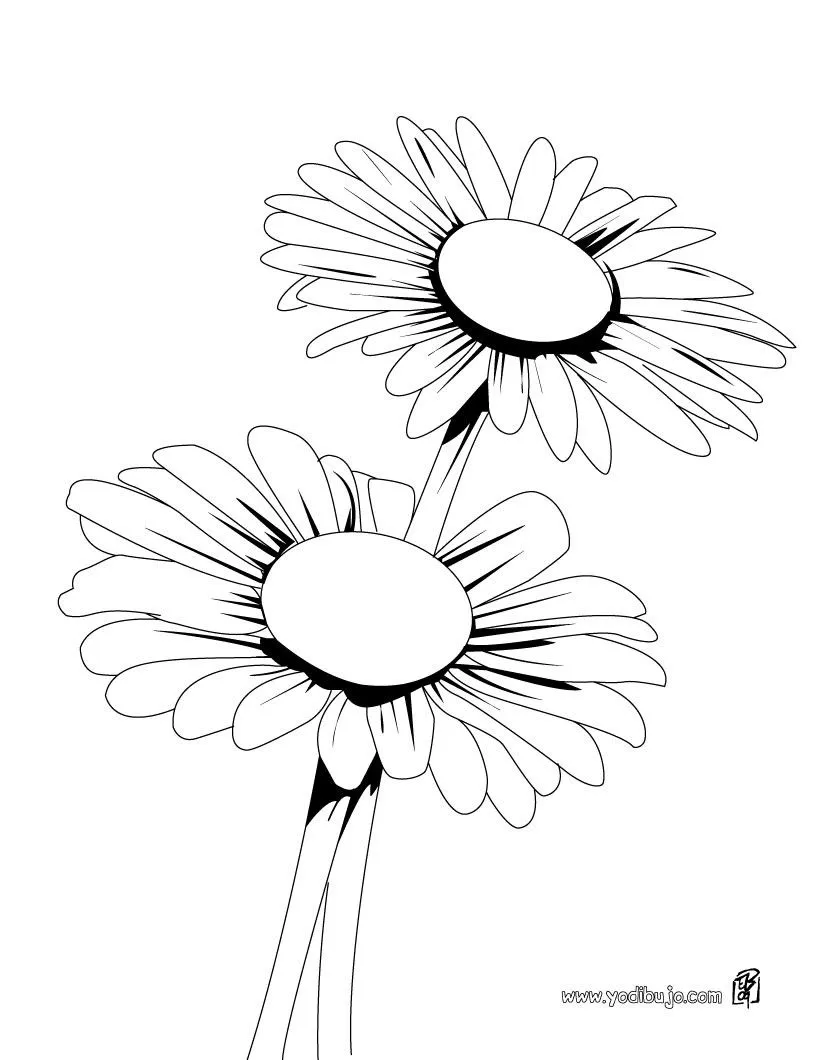 Dibujos de FLORES para pintar, margaritas para imprimir Dibujos de FLORES para pintar, margaritas para imprimir