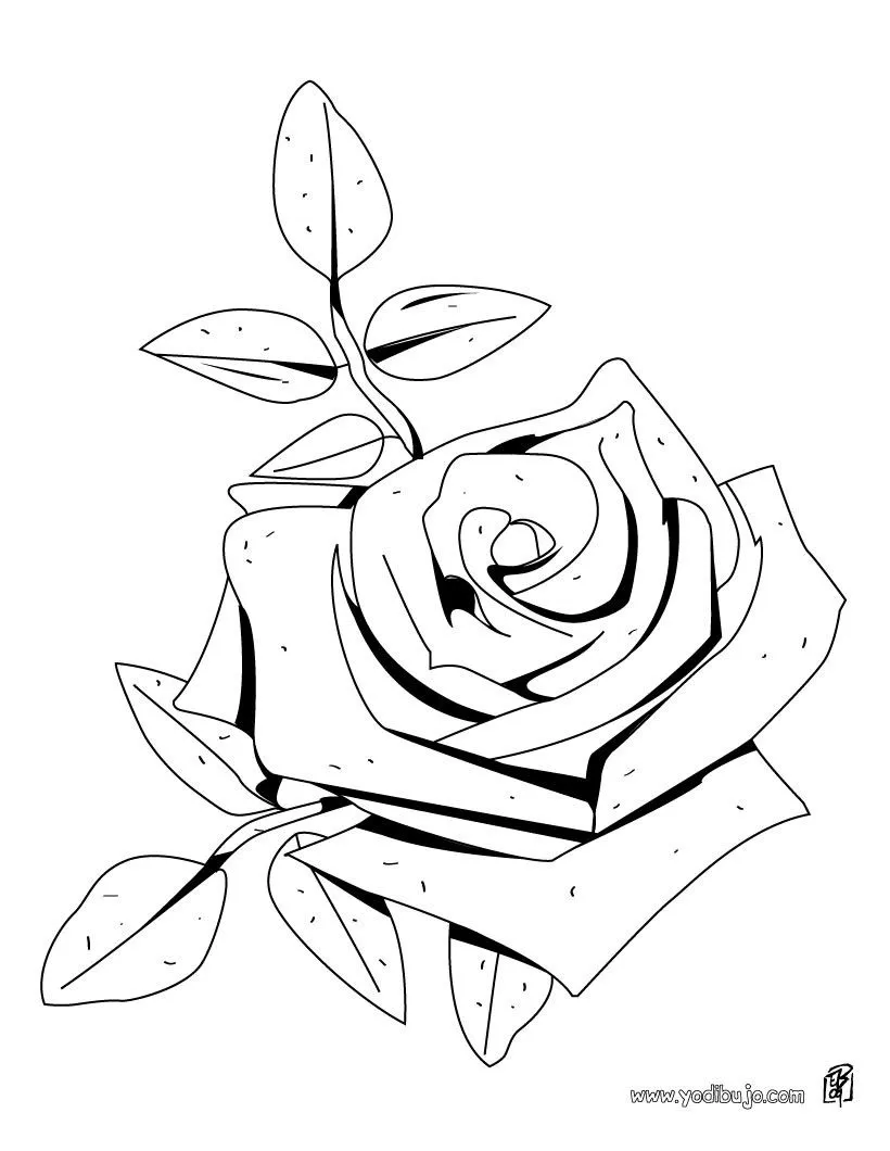 Dibujos de FLORES para pintar, una rosa para imprimir Dibujos de FLORES para pintar, una rosa para imprimir