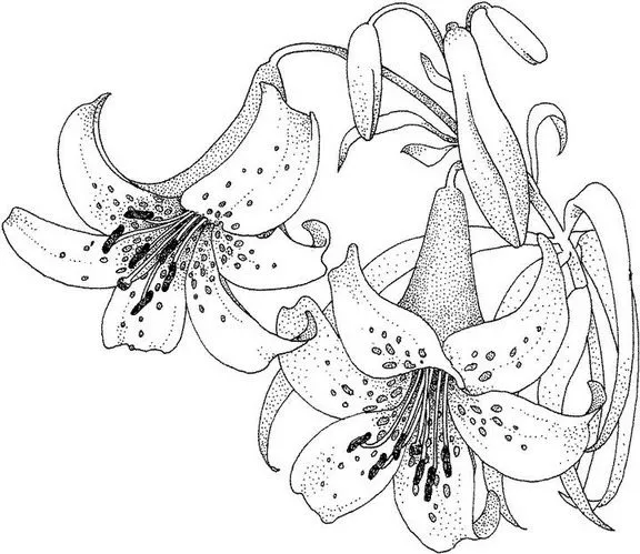 Dibujos de pintura en tela flores - Imagui