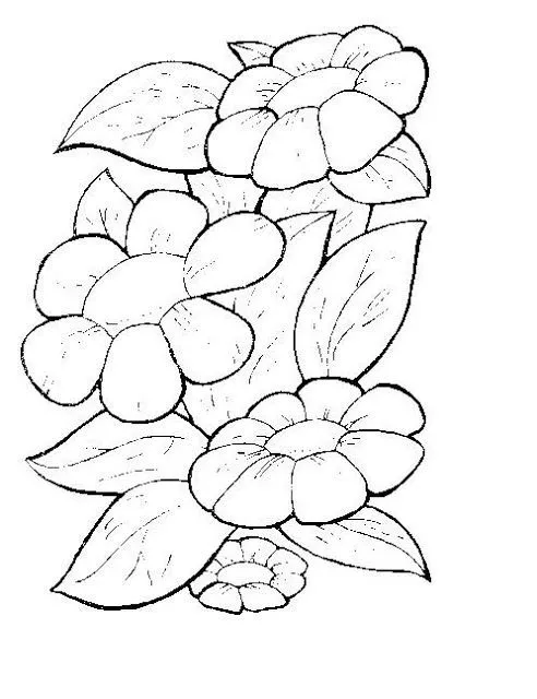 flores para pintar en tela - Pesquisa Google | DESENHO FLORES ... flores para pintar en tela - Pesquisa Google | DESENHO FLORES ...