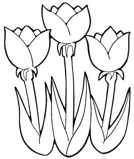 DIBUJOS DE FLORES, PLANTAS Y ARBOLES - ezpinita - Picasa Web ...