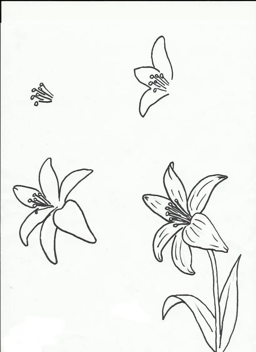 ▷ Dibujos de Flores y Rosas Fáciles ✓ Paso a Paso ▷ Dibujos de Flores y Rosas Fáciles ✓ Paso a Paso