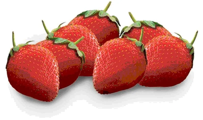 Dibujos de fresas para imprimir - Imagenes y dibujos para ...