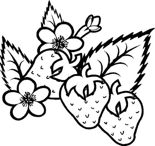 DIBUJOS DE FRESAS PARA COLOREAR | Dibujos para colorear DIBUJOS DE FRESAS PARA COLOREAR | Dibujos para colorear