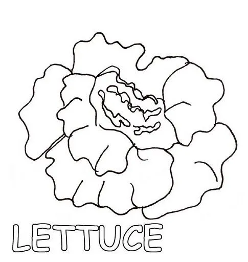 Frutas en inglés para niños para colorear - Imagui Frutas en inglés para niños para colorear - Imagui