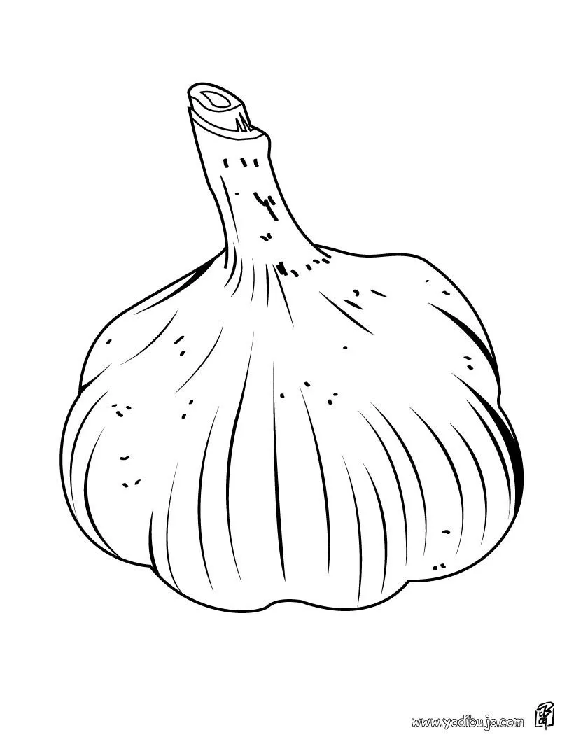 Dibujos de FRUTAS Y VERDURAS para colorear, un ajo para imprimir Dibujos de FRUTAS Y VERDURAS para colorear, un ajo para imprimir