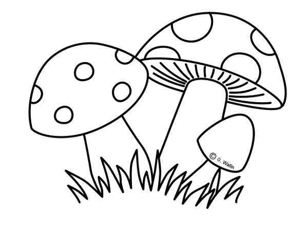DIBUJOS DE FRUTOS DEL OTOÑO » Actividades infantil DIBUJOS DE FRUTOS DEL OTOÑO » Actividades infantil