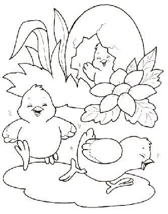 Dibujos de gallos y gallinas para colorear | Manualidades Infantiles