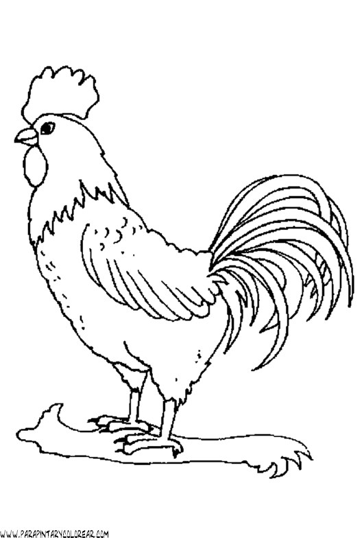 Dibujos de Gallos ~ Vida Blogger