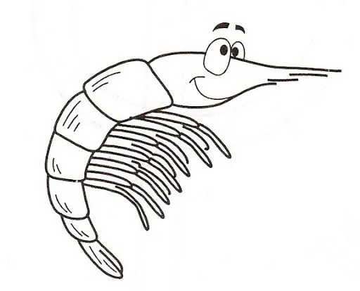 DIBUJOS DE GAMBAS PARA COLOREAR | FICHAS PARA PINTAR | DIBUJOS ... DIBUJOS DE GAMBAS PARA COLOREAR | FICHAS PARA PINTAR | DIBUJOS ...