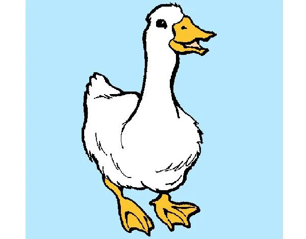 Dibujo de patito pintado por Raquel_amy en Dibujos.net el día 01 ...