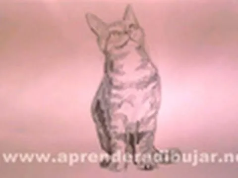 Dibujos de gatos - Cómo dibujar un gato sentado a lápiz - YouTube Dibujos de gatos - Cómo dibujar un gato sentado a lápiz - YouTube