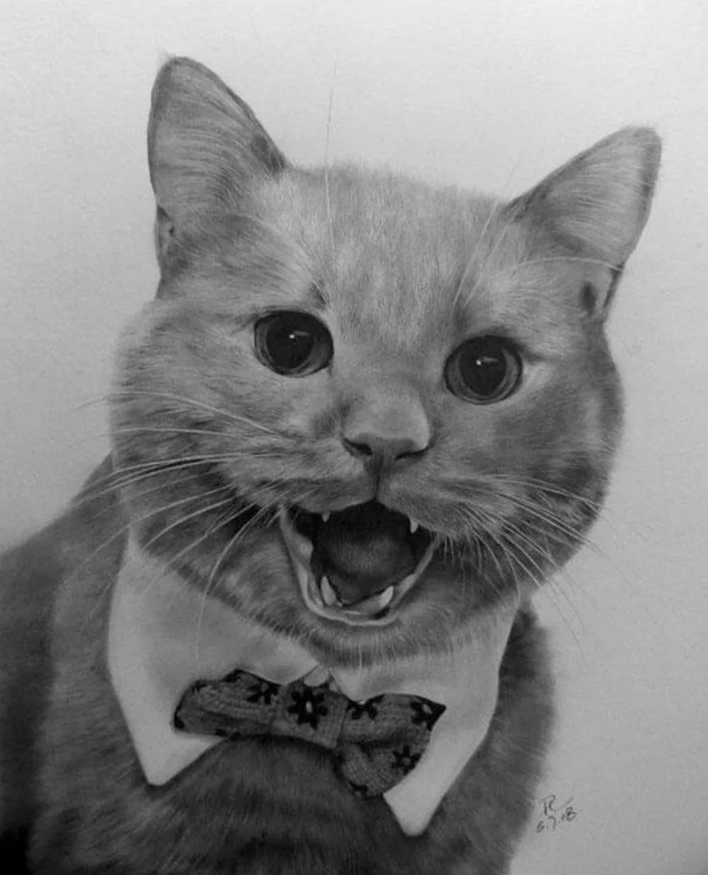 Dibujo de gato a lapiz - Imagui