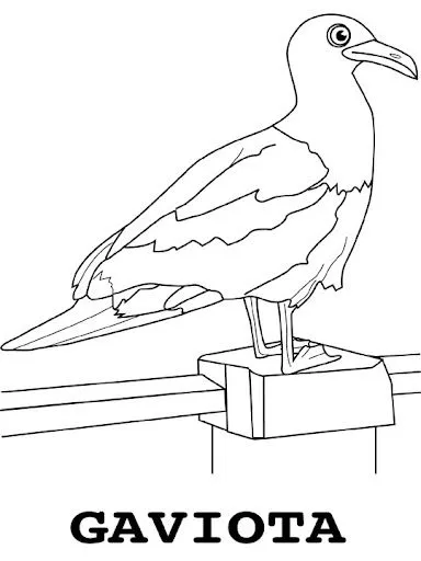 DIBUJOS DE GAVIOTAS PARA COLOREAR
