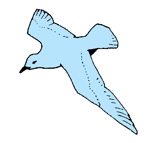 Como dibujar una gaviota volando - Imagui
