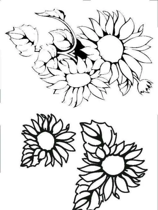 Dibujos y Plantillas para imprimir: girasoles Dibujos y Plantillas para imprimir: girasoles