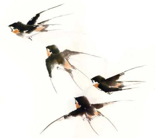 Golondrina volando dibujo - Imagui