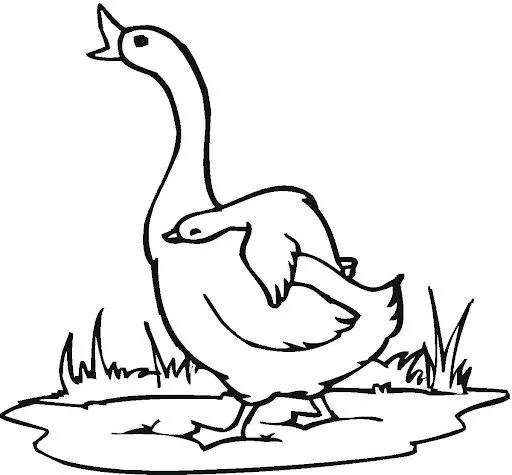 Dibujos de gotas de agua infantiles - Imagui Dibujos de gotas de agua infantiles - Imagui