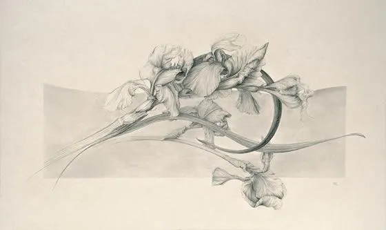 Dibujos y grabados de Marta Chirino | Revista de Flores, Plantas ...