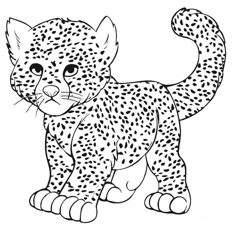 Dibujos de Guepardo para colorear e imprimir– ColoringOnly.Com
