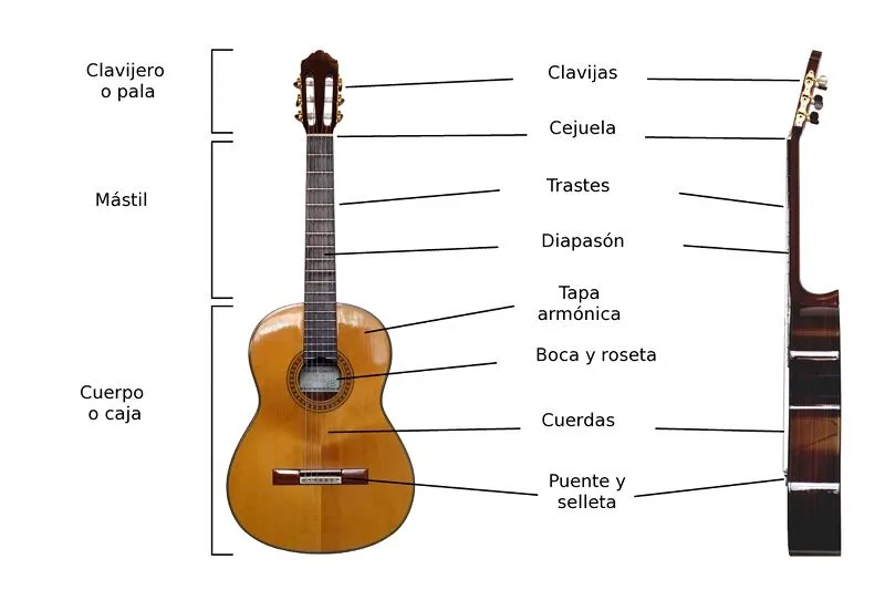 Aprender guitarra desde cero: Las partes de una guitarra