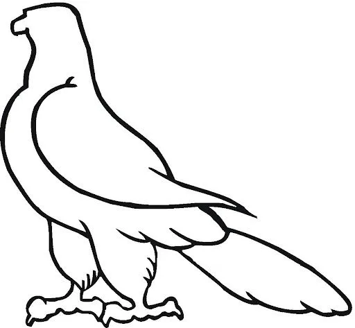 Dibujos de HALCONES para colorear - Imagui