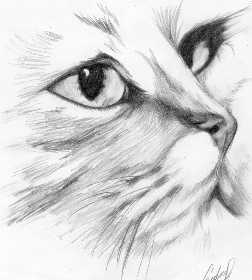 Dibujos hechos a lapiz... - Taringa!