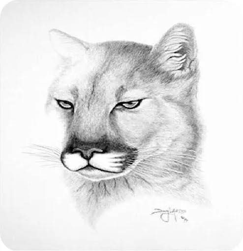 DIBUJOS HERMOSOS DE ALGUIEN QUE PINTA CON SU BOCA ...